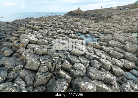 Les touristes à la découverte de la Giant's Causeway, comté d'Antrim, en Irlande du Nord, au Royaume-Uni, un célèbre site du patrimoine mondial de l'UNESCO. Banque D'Images