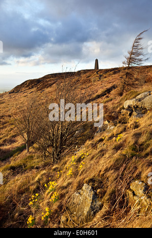 Vue du monument à explorateur britannique le capitaine James Cook sur la lande d'Easby près de Middlesbrough sur un soir de grand vent Banque D'Images