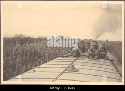 De grandes taureaux [train environnant comme vu] du sommet des wagons, [où certains soldats du 8e Régiment du Cheval léger ont voyagé pendant le voyage de Suez au Caire, le 4 avril 1915] Banque D'Images