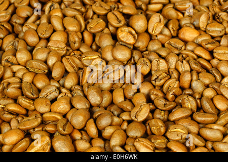 Les grains de café marron pour le fond et la texture Banque D'Images