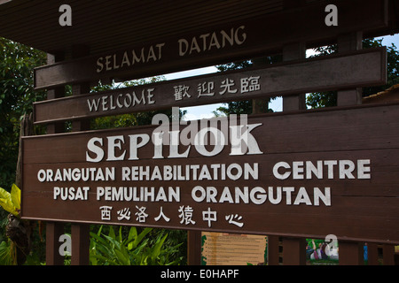 Le Centre de réhabilitation des Orang-outans de Sepilok est situé à l'extérieur de Sandakan dans l'Etat de Sabah, Malaisie, Bornéo Banque D'Images