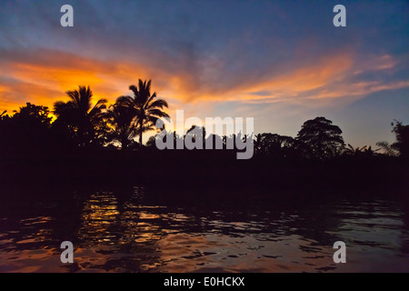 Un magnifique coucher de soleil vu d'un bateau dans la rivière KINABATANGAN Wildlife Sanctuary - SABAH, Bornéo Banque D'Images