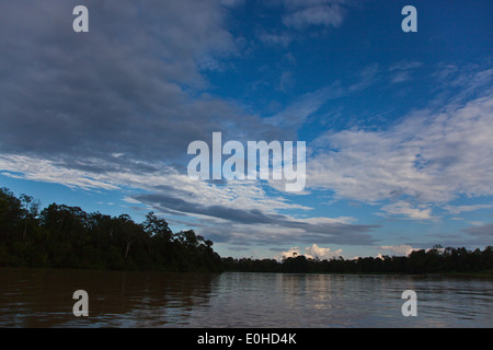 La RIVIÈRE KINABATANGAN Wildlife Sanctuary est le foyer de nombreuses espèces sauvages - SABAH Bornéo Banque D'Images