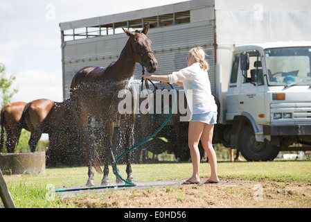 Femme marié lave-off un polo pony à Clevedon dans l'Île du Nord Nouvelle-zélande Banque D'Images