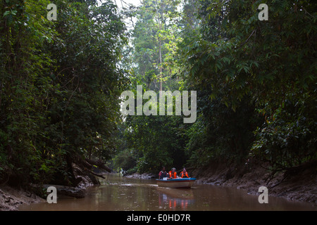 La RIVIÈRE KINABATANGAN Wildlife Sanctuary qui abrite de nombreuses espèces sauvages - SABAH, Bornéo Banque D'Images