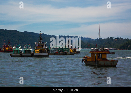 Des bateaux de pêche à l'ancre à Kota Kinabalu, Sabah - Bornéo, Malaisie Banque D'Images