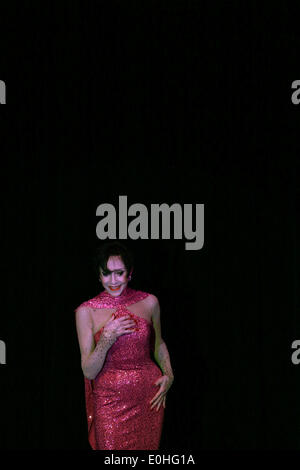 (140513) -- Francfort, 13 mai 2014 (Xinhua) -- L'actrice française, danseuse, chanteuse et Liliane Montevecchi exécute au Tigerpalast à Francfort, Allemagne, le 13 mai 2014. Liliane Montevecchi est né le 13 octobre 1932 à Paris et s'est lancé dans une carrière internationale en tant que prima ballerina avec Roland Petit's dance company. De Paris, elle s'installe à Hollywood, où elle a joué de nombreux rôles principaux dans des films avec Elvis Presley, Fred Astaire, Jerry Lewis, et Marlon Brando. Elle a reçu les deux Drama Desk Award et le Tony Award pour ses réalisations artistiques. (Xinhua/Luo Huanhuan) Banque D'Images