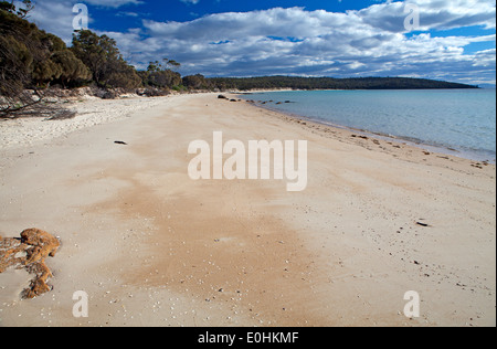 Plage de Cooks dans Parc national de Freycinet Banque D'Images