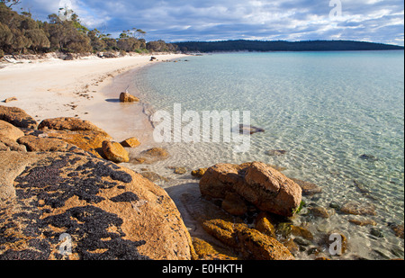 Plage de Cooks dans Parc national de Freycinet Banque D'Images