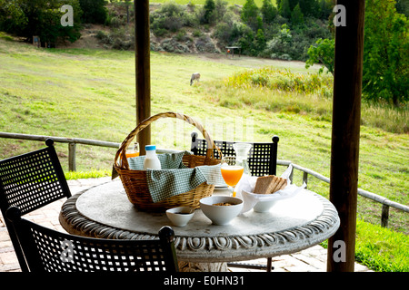 Petit-déjeuner à l'extérieur à une table patio donnant sur un pâturage avec un zèbre à distance Banque D'Images