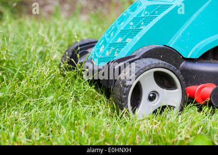 Dans le jardin de la faucheuse Banque D'Images