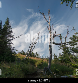 Sentier Lookout sur Lookout Hills dans le parc national du Gros-Morne, à Terre-Neuve et Labrador, Canada Banque D'Images