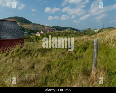 Maisons dans la Trinité, péninsule de Bonavista, Terre-Neuve et Labrador, Canada Banque D'Images