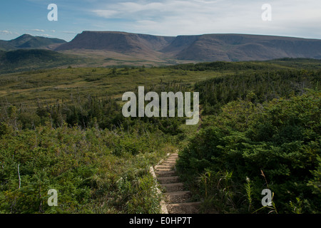 Sentier Lookout et Lookout Hills dans le parc national du Gros-Morne, à Terre-Neuve et Labrador, Canada Banque D'Images