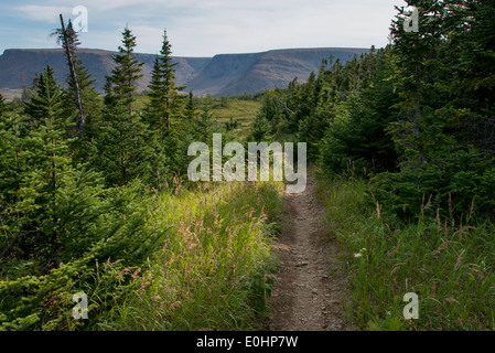 Sentier Lookout et Lookout Hills dans le parc national du Gros-Morne, à Terre-Neuve et Labrador, Canada Banque D'Images