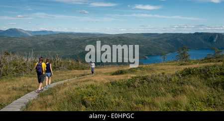 Les randonneurs au sentier d'observation, Bonne Bay, Lookout Hill, le parc national du Gros-Morne, à Terre-Neuve et Labrador, Canada Banque D'Images