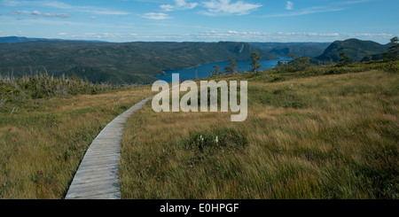 Sentier d'observation le long de Bonne Bay, Lookout Hill, le parc national du Gros-Morne, à Terre-Neuve et Labrador, Canada Banque D'Images