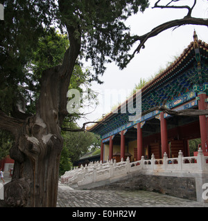 Temple de Confucius à Pékin, Chine Banque D'Images