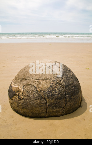 Moeraki Boulders sphérique ancienne rock formation sur Koekohe Plage, Moeraki, Otago, Nouvelle-Zélande Banque D'Images