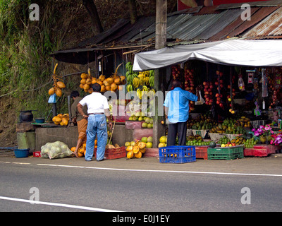 Stand de fruits au bord de la route au Sri Lanka Banque D'Images