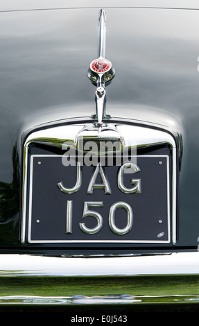 Jaguar XK 150 . Détail de la plaque minéralogique arrière . Classic British cars Banque D'Images