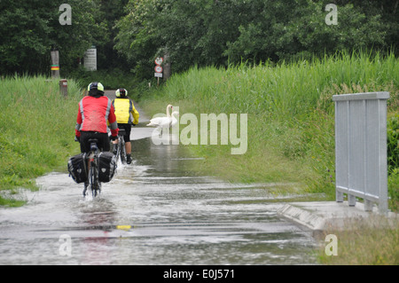 Deux cyclistes australiens dans une flaque d'eau dans le Danube - Parc National Auen, Autriche. Banque D'Images