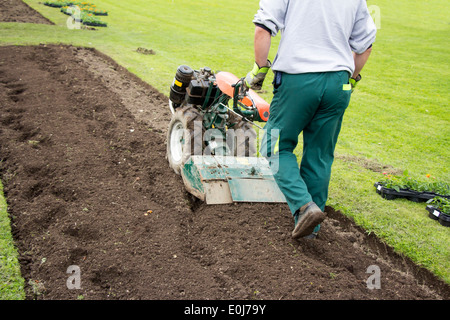 Homme travaillant dans le jardin avec timon Jardin Banque D'Images