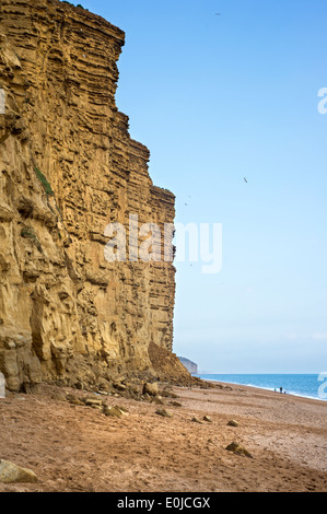 Falaise est de West Bay, près de Bridport, Dorset, Angleterre, l'un des endroits utilisés pour la série TV Broadchurch Banque D'Images