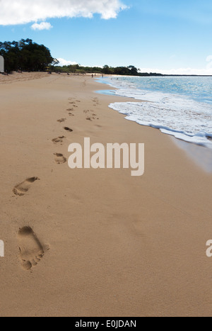 Des empreintes de pas dans le sable sur la grande plage de Maui, Hawaii Banque D'Images