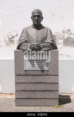 Le Dr Francisco Madeira Funchal Statue Fulgencio Andrade Banque D'Images