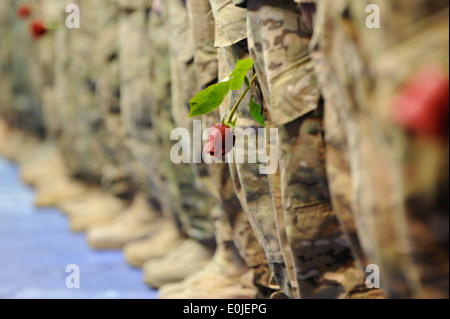 Cinq cents soldats du 4e Brigade Combat Team (Airborne), 25e Division d'infanterie, retour à Joint Base Elmendorf-Richa Banque D'Images