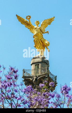 Le Monument de l'indépendance du Mexique, d'El Angel, l'Ange de l'indépendance. Banque D'Images