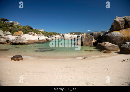 La plage de Boulders près de Simon's Town, Cape Town, Western Cape, Afrique du Sud Banque D'Images