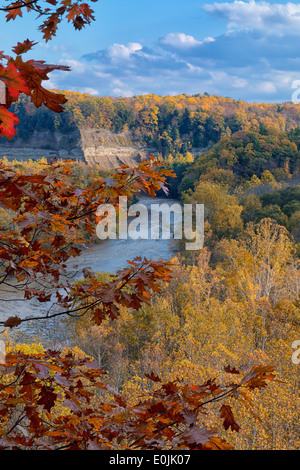 Zoar Valley encadrée par des feuilles de chêne rouge. Banque D'Images