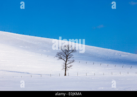 En hiver le lac Mashu, Japon Banque D'Images