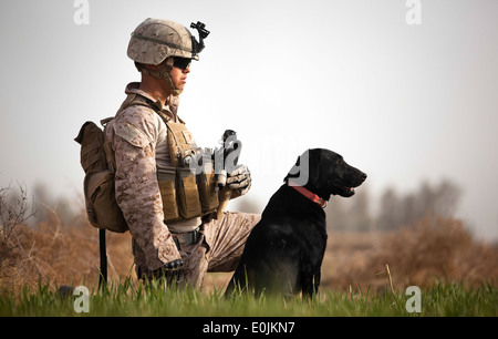 La Marine américaine lance le Cpl. Nick Lacarra, un maître-chien dont l'ensemble de l'équipe 2 Anti-Armor, Compagnie d'Armes, 3e Bataillon, 3rd Marine Banque D'Images