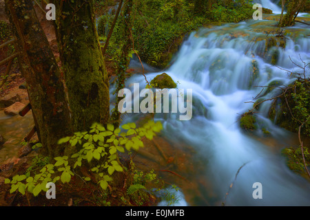 Urbasa Urederra Rivière, Parc Naturel. Urederra rivière près de sa source, Navarra. Baquedano, Navarre, Espagne. Banque D'Images