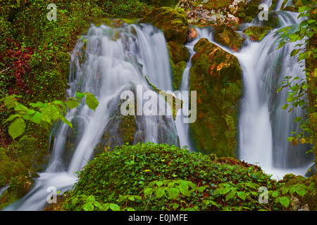 Urbasa Urederra Rivière, Parc Naturel. Urederra rivière près de sa source, Navarra. Baquedano, Navarre, Espagne. Banque D'Images