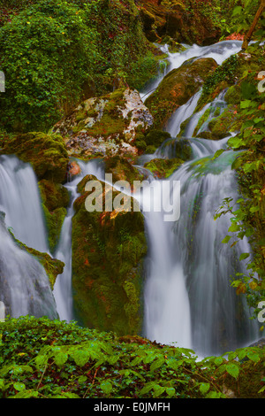 Urbasa Urederra Rivière, Parc Naturel. Urederra rivière près de sa source, Navarra. Baquedano, Navarre, Espagne. Banque D'Images