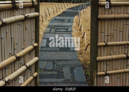 Chemin dans jardin traditionnel japonais, le Musée Nezu, Tokyo, Japon Banque D'Images