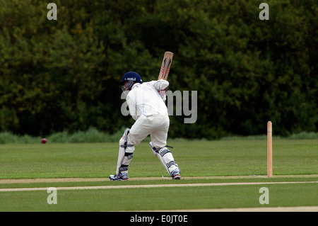 Le sport universitaire, men's cricket à l'Université de Warwick, England, UK Banque D'Images