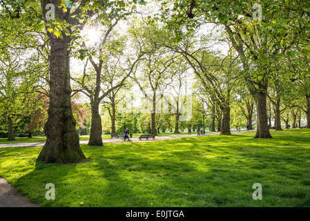 Hyde Park, vaste, London, UK Banque D'Images