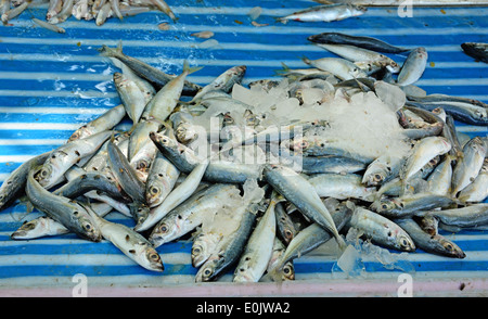 Poissons à vendre Banque D'Images