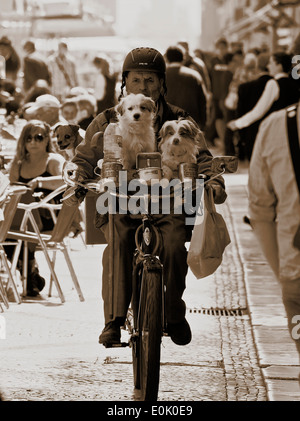 Vélo homme au travers des foules sur la rue Augusta et 2 petits chiens sur le guidon et la collecte de tine Lisbonne Portugal Europe de l'ouest Banque D'Images