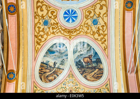 Peintures murales polychromes à vault de grande salle de prière à la Synagogue Hassidique, Kraków, Pologne Malopolska, Banque D'Images