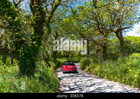 Au volant d'une Mini Cooper Cabriolet voiture le long chemin de campagne sur un circuit touristique de Devon et Cornwall dans le sud de l'Angleterre, Royaume-Uni Banque D'Images