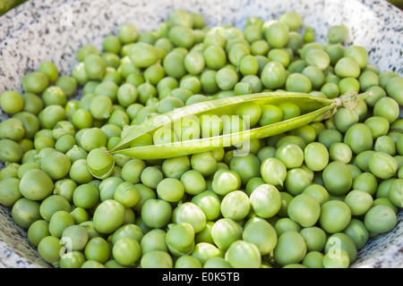 Pois Pois frais zoom gros plan de la plaque témoin vert pétrole brut brut nature naturel végétarien sain soleil jaune Banque D'Images