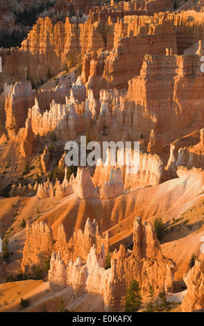 Les cheminées de l'aube point, Bryce Canyon National Park, Utah USA Banque D'Images