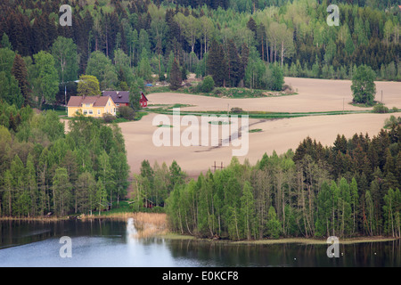 Vue aérienne de campagne typiquement finlandais avec les forêts et les lacs. Banque D'Images