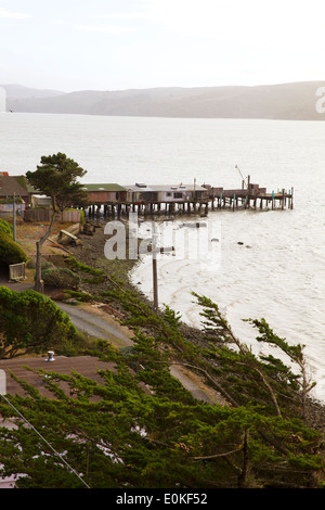 Une maison sur pilotis construite au fil de l'eau de la baie de Tomales Marshall, en Californie. Banque D'Images